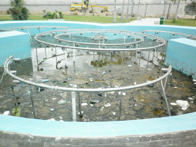 Hồ nước công viên ô nhiễm