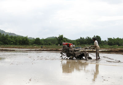 Lỗ Gia từng bước chuyển mình