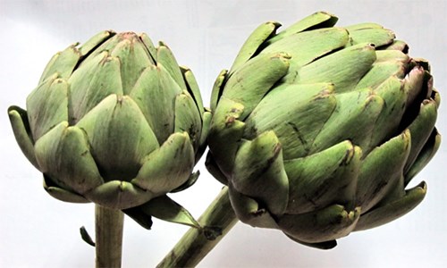 Ảnh: Đào Ngọc Thạch