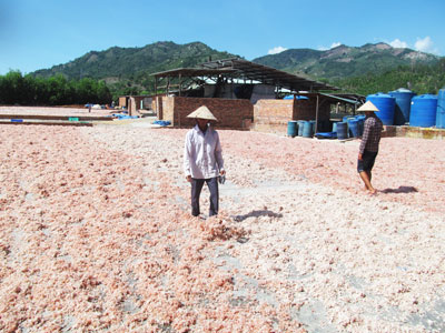 Cơ sở chế biến chitin ở Suối Tân gây ô nhiễm môi trường phải khắc phục