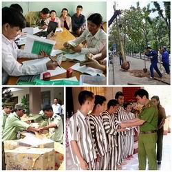 Chỉ đạo, điều hành của Chính phủ, Thủ tướng Chính phủ nổi bật tuần 20-24/7/2015