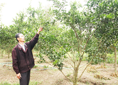 Khánh Sơn: Quan tâm công tác đền ơn đáp nghĩa