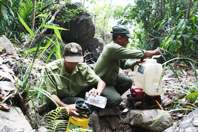 Lực lượng kiểm lâm chữa cháy tại núi Hòn Ông.