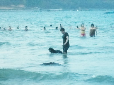 Vẫn dắt chó xuống tắm biển