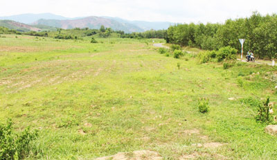 Đến nay, gần như toàn bộ diện tích&nbsp;đất, cây trồng trong khu vực xây dựng dự&nbsp;án&nbsp;đã&nbsp;được kiểm kê.