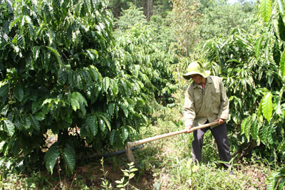 Công tác dân tộc trong thời hội nhập quốc tế