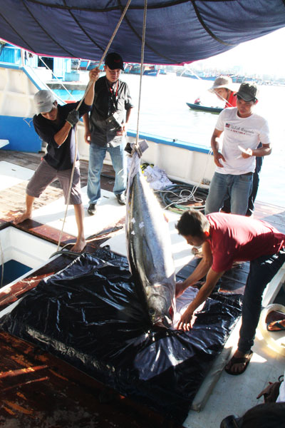 Hiện đại hóa tàu cá khai thác xa bờ