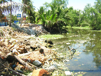 Xà bần và rác lấn sông