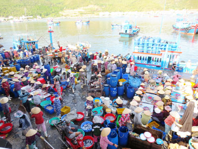 Cảng cá Vĩnh Trường: Sẽ đóng cửa vào cuối năm 2016