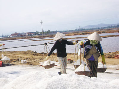 Thương hiệu cho muối Ninh Hòa