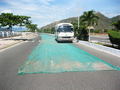 Phơi lưới và cá trên đường