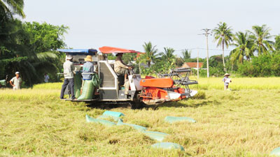 Ninh Bình - Những chuyển biến tích cực