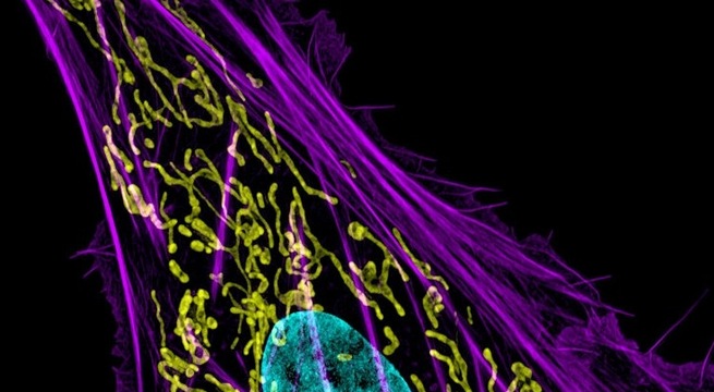 Phát minh thiết bị chẩn đoán bách bệnh