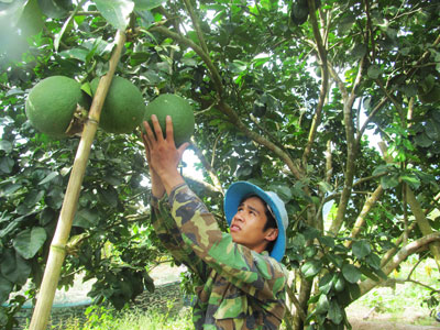 Phát triển kinh tế gắn với an sinh xã hội