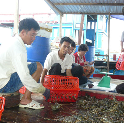 Gỡ khó cho tôm hùm