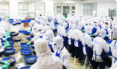 Hoạt động sản xuất tại Công ty TNHH Thông Thuận, Cam Ranh