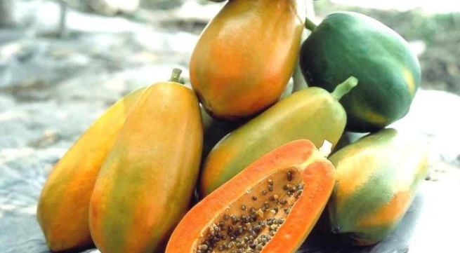 Sự thật bất ngờ về đu đủ không phải ai cũng biết