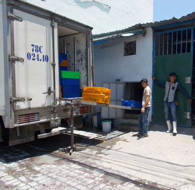 Bốc dỡ hải sản tại một cơ sở chế biến ở xã Phước Đồng