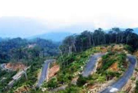 Tiếp nhận, thả về tự nhiên 22 cá thể động vật hoang dã