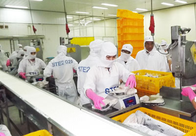 Chế biến thủy sản đông lạnh là một trong các nghề nặng nhọc, độc hại, nguy hiểm