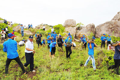 Đoàn viên, thanh niên Công ty Yến sào tham gia trồng cây xanh tại các đảo yến.