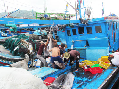 Các cảng cá đón gần 21.700 lượt tàu
