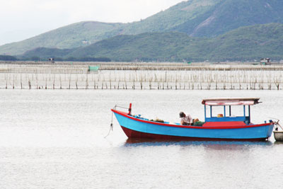 Ghe thuyền hoạt động nghề lờ dây và việc đặt nò đã khiến nguồn lợi thủy sản trên đầm Nha Phu bị suy giảm.