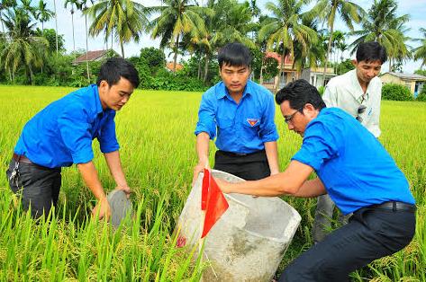 Các đoàn viên, thanh niên tiến hành đặt các bể chứa rác giữa đồng