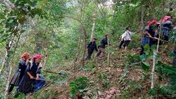 Bảo vệ rừng gắn với giảm nghèo đồng bào dân tộc thiểu số