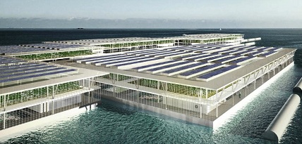 Trồng rau bằng nước biển