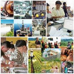 Chỉ đạo, điều hành của Chính phủ, Thủ tướng Chính phủ nổi bật tuần 14-18/9/2015