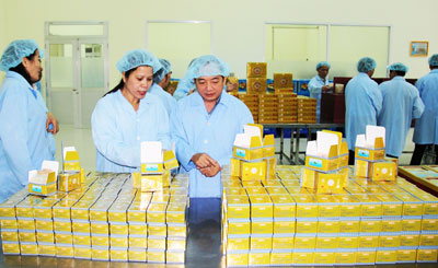 Đóng gói sản phẩm yến sào Khánh Hòa