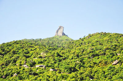 Chuyện tình thời chiến