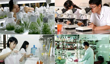 Những sự kiện khoa học công nghệ đáng chú ý tuần qua