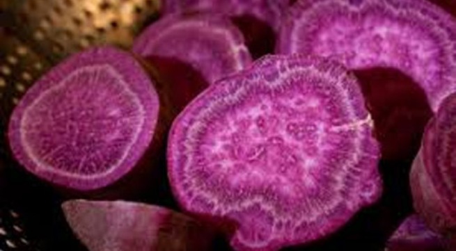 Khoai lang tím có tác dụng chống ung thư