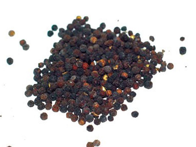 Hạt tiêu đen giúp cải thiện sức khỏe