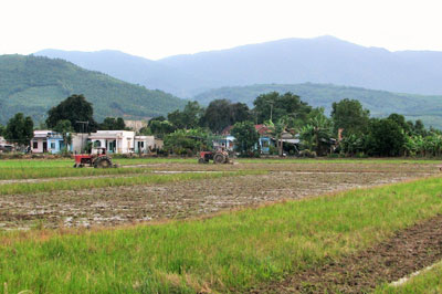 Sản xuất nông nghiệp tại xã Diên Thọ