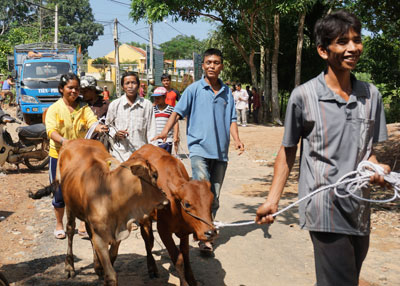 Tạo sinh kế ổn định cuộc sống