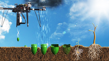 Trồng cây xanh bằng máy bay không người lái