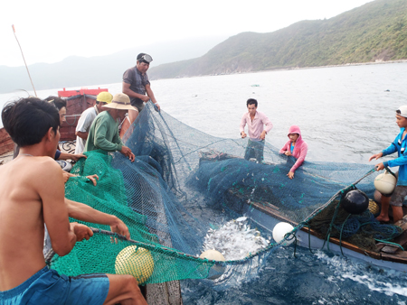 Ngư dân khai thác thủy sản