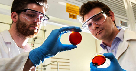 Phát hiện mới về vỏ cam có thể cứu mạng người