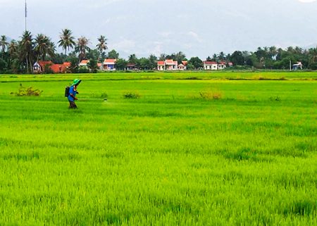 Xã Vạn Lương: Hiệu quả bước đầu từ dồn điền, đổi thửa