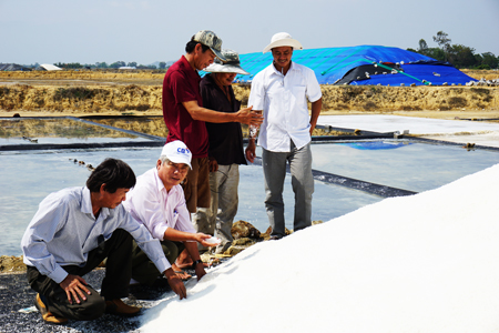 Công ty Cổ phần Muối Cam Ranh thu mua muối tại Ninh Thọ