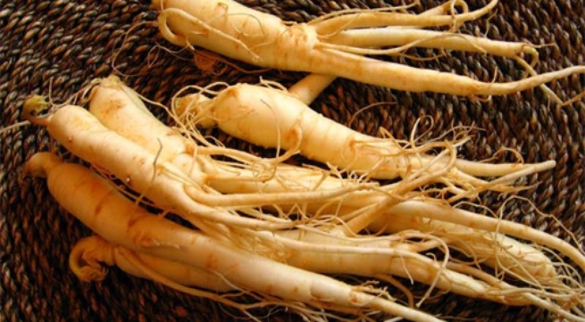 Những người không nên dùng nhân sâm