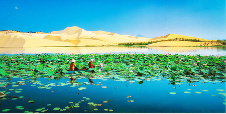 Lan tỏa vẻ đẹp văn hóa Việt