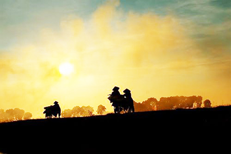 Khói chiều ai đốt mà cay mắt mình…