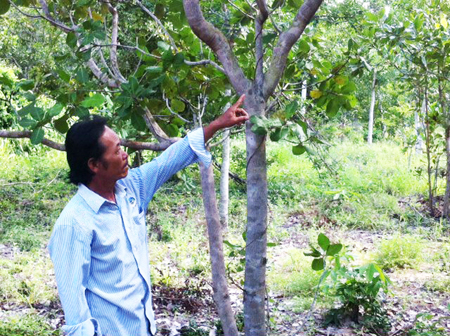 Người cựu chiến binh vượt khó