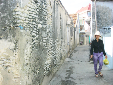 Nên bảo tồn nhà san hô