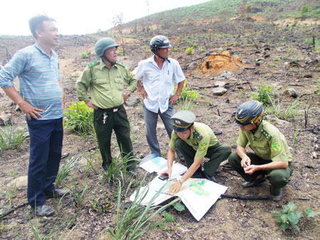 Lực lượng Kiểm lâm kiểm tra thực địa tại xã Suối Tân