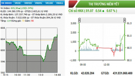 Diễn biến VN-Index và HNX-Index, phiên giao dịch ngày 12-11